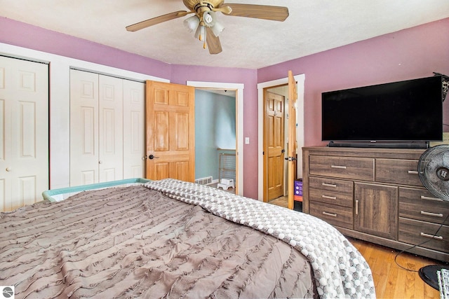 7809 Potter Rd, Bear Lake, MI 49614 - bedroom with light wood finished floors, ceiling fan, and two closets