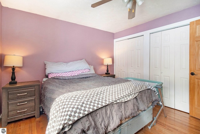 7809 Potter Rd, Bear Lake, MI 49614 - bedroom with ceiling fan, two closets, and wood finished floors