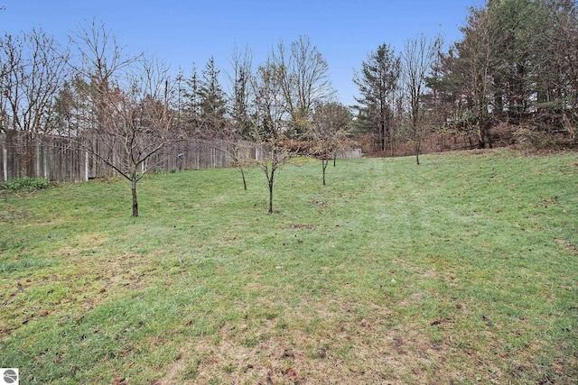 7809 Potter Rd, Bear Lake, MI 49614 - view of yard