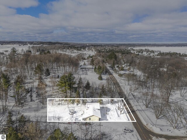 7809 Potter Rd, Bear Lake, MI 49614 - view of snowy aerial view