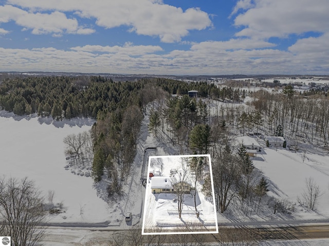 7809 Potter Rd, Bear Lake, MI 49614 - snowy aerial view featuring a view of trees