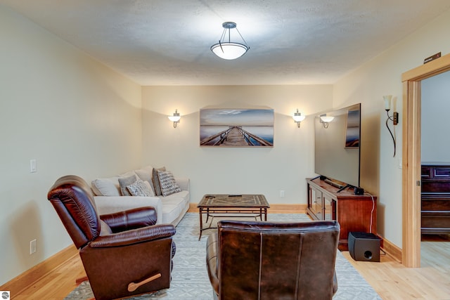 4130 W Dodge Springs Trl, Maple City, MI 49664 - living room with wood finished floors and baseboards