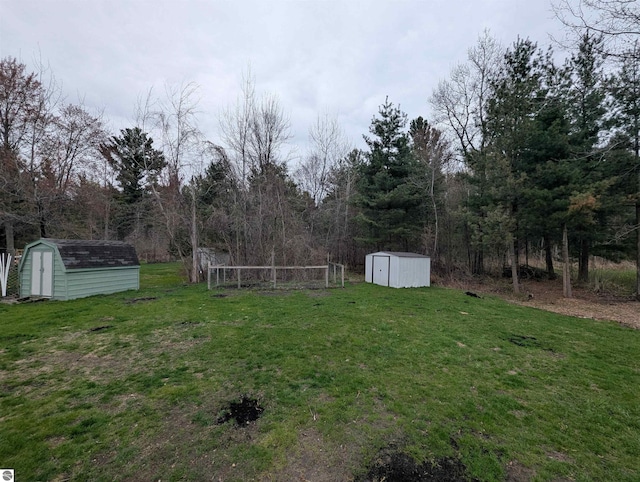 view of yard with an outdoor structure and a storage unit