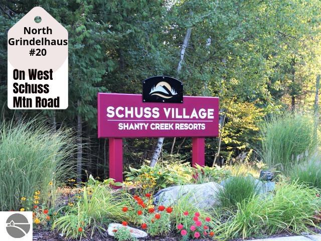 20 W Schuss Mountain Dr, Bellaire, MI 49615