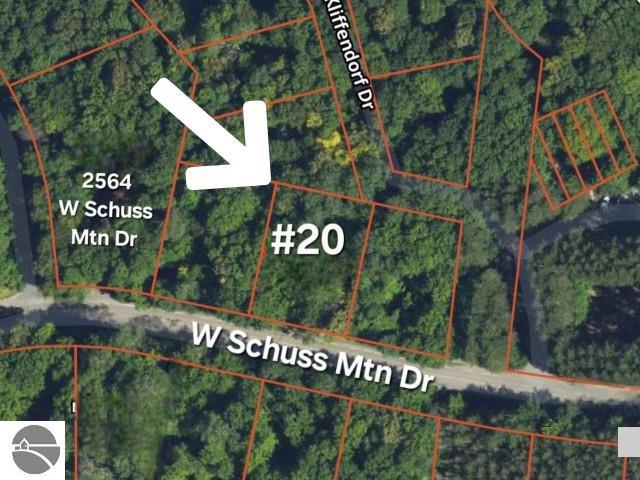 20 W Schuss Mountain Dr, Bellaire, MI 49615