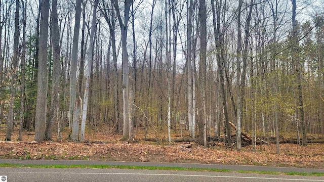 20 W Schuss Mountain Dr, Bellaire, MI 49615