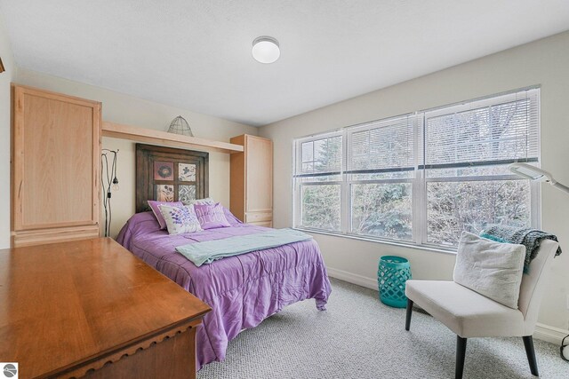 715 Lake Ave Unit 17-C, Traverse City, MI 49684 - bedroom featuring light carpet and baseboards