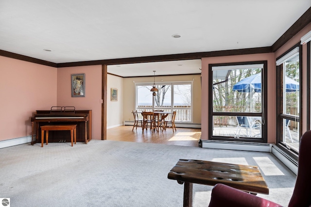 8822 Bahle Rd, Suttons Bay, MI 49682 - living area featuring carpet flooring, baseboards, and baseboard heating