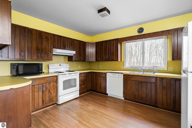 8822 Bahle Rd, Suttons Bay, MI 49682 - kitchen with a sink, light wood-type flooring, white appliances, under cabinet range hood, and light countertops