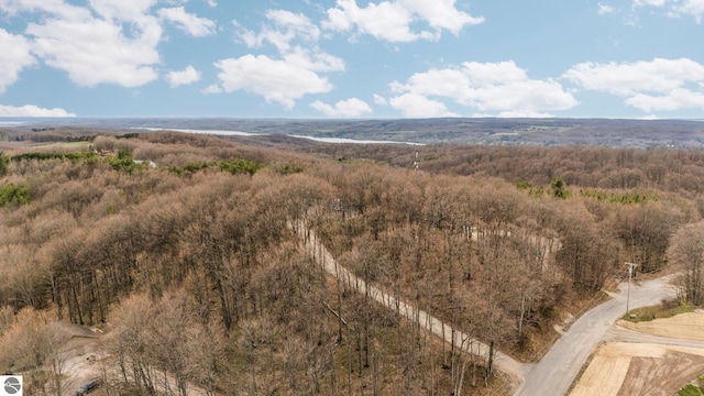 8822 Bahle Rd, Suttons Bay, MI 49682 - bird's eye view with a forest view