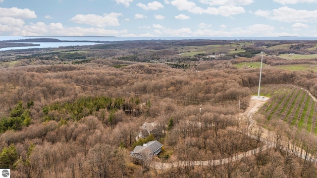 8822 Bahle Rd, Suttons Bay, MI 49682 - aerial view with a water view