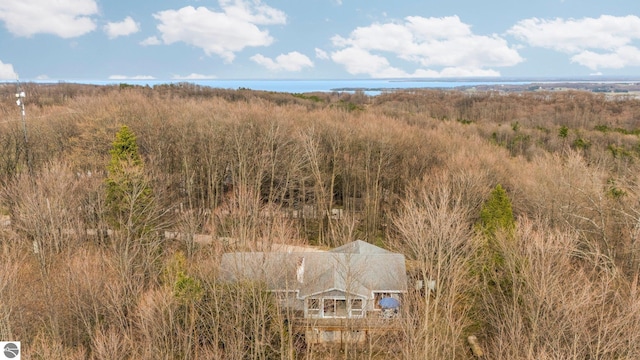 8822 Bahle Rd, Suttons Bay, MI 49682 - exterior space