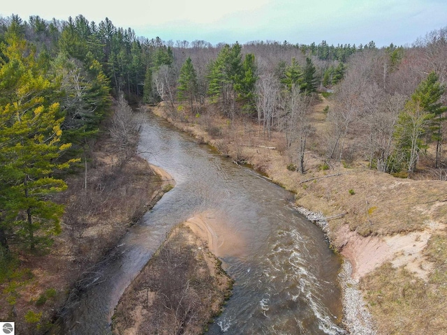 9184 S M-37, Wellston, MI 49689 - property view of water featuring a wooded view