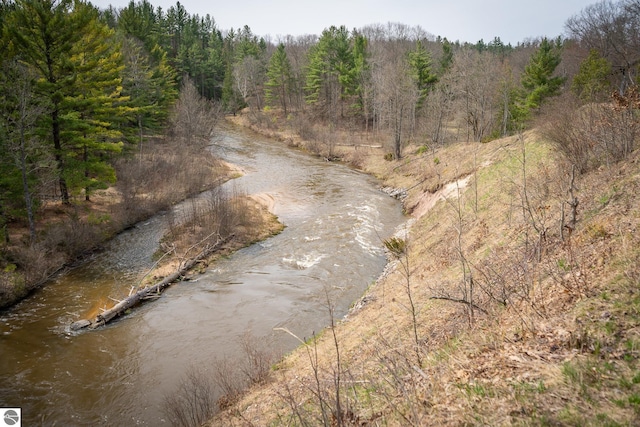 9184 S M-37, Wellston, MI 49689 - water view featuring a view of trees