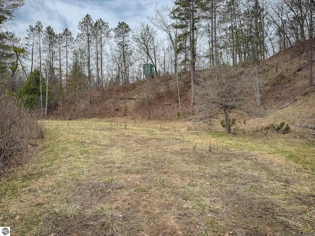 9184 S M-37, Wellston, MI 49689 - view of nature