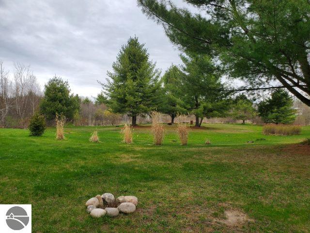 6626 Terry Ln, Hale, MI 48739 - view of grassy yard