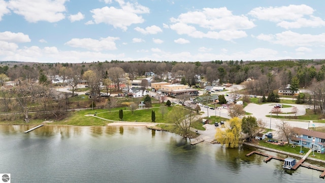 7555 Anthony St, Fife Lake, MI 49633 - bird's eye view of a nearby body of water