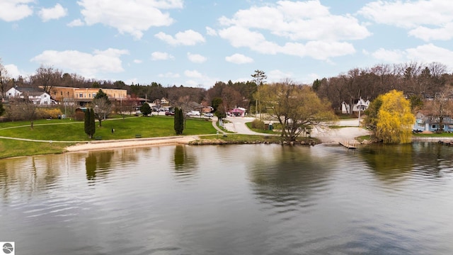 7555 Anthony St, Fife Lake, MI 49633 - water view