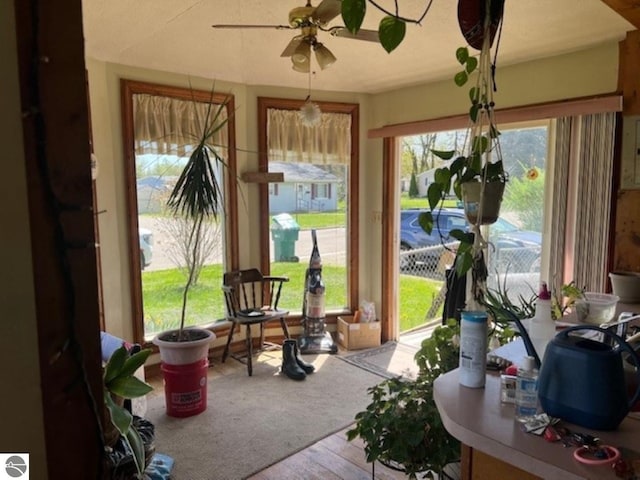 394 Wilson Ave, Mount Morris, MI 48458 - sunroom / solarium featuring plenty of natural light