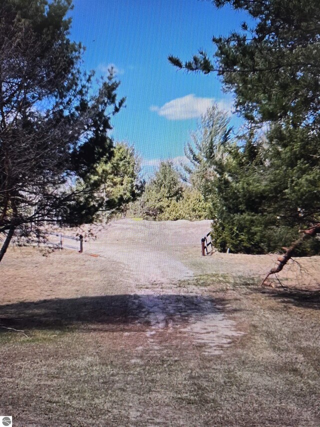 4151 Fraser Rd, Glennie, MI 48737 - view of yard