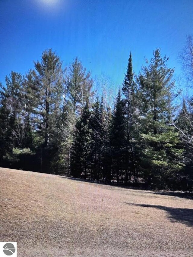 4151 Fraser Rd, Glennie, MI 48737 - view of yard with a view of trees