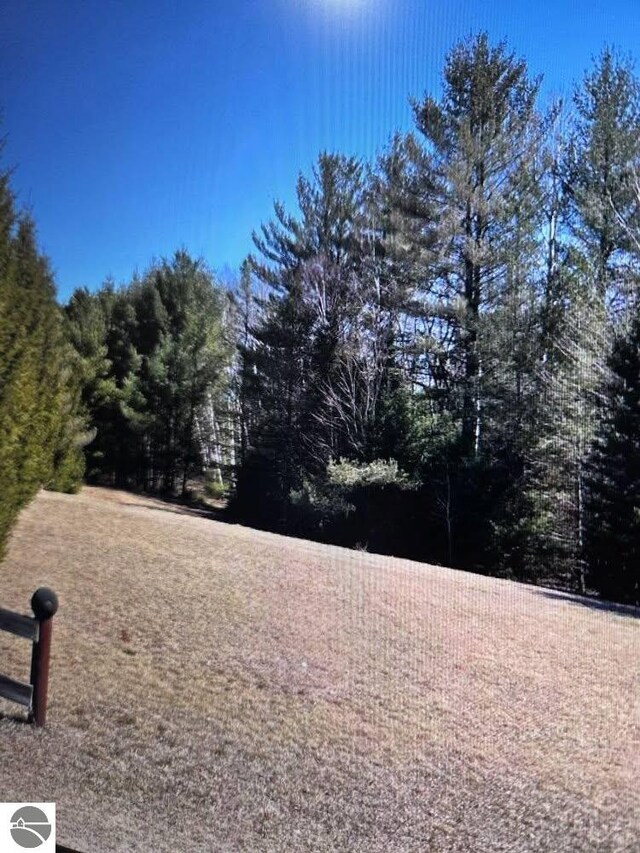4151 Fraser Rd, Glennie, MI 48737 - view of yard with a view of trees