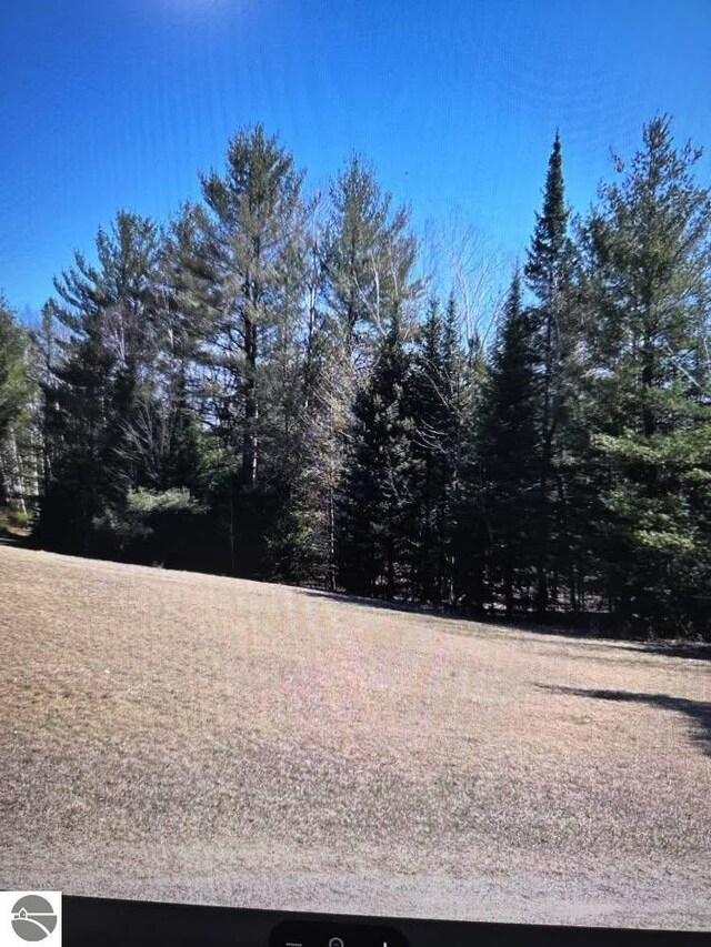 4151 Fraser Rd, Glennie, MI 48737 - view of yard