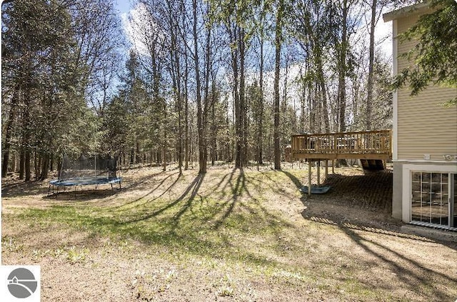 8565 Bent Pine Dr, Lake Ann, MI 49650 - view of grassy yard with a trampoline and a deck