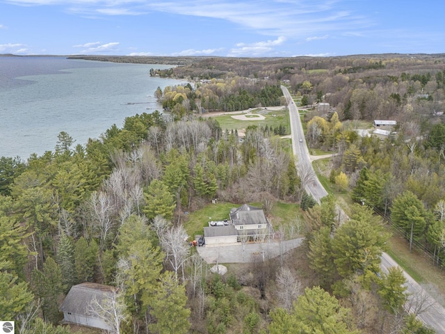 11730 S E Torch Lake Dr, Alden, MI 49612