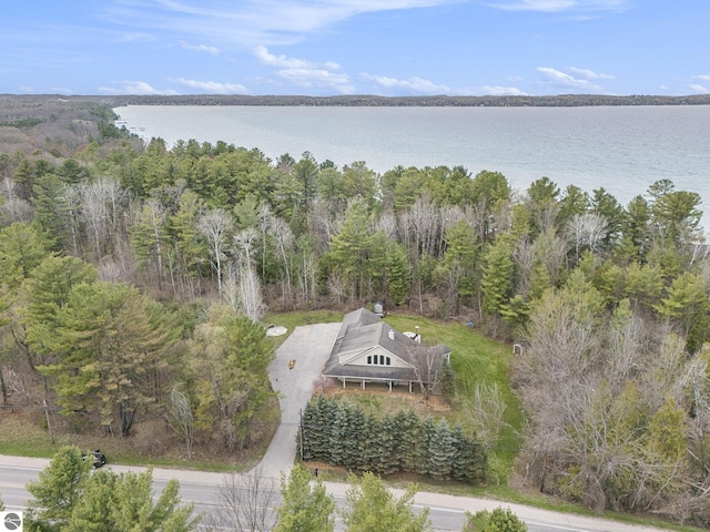 11730 S E Torch Lake Dr, Alden, MI 49612