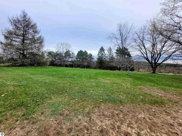 4120 M-66, Kalkaska, MI 49646 - view of grassy yard