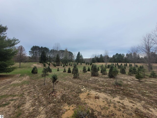 4120 M-66, Kalkaska, MI 49646 - view of local wilderness with rural landscape