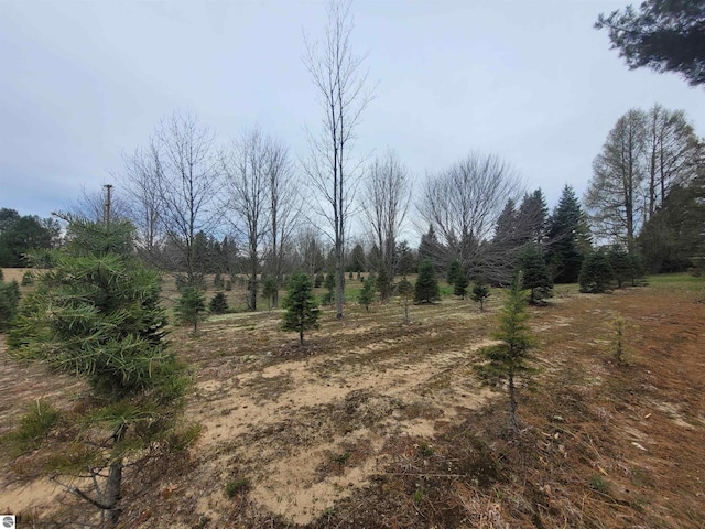 4120 M-66, Kalkaska, MI 49646 - view of undeveloped land
