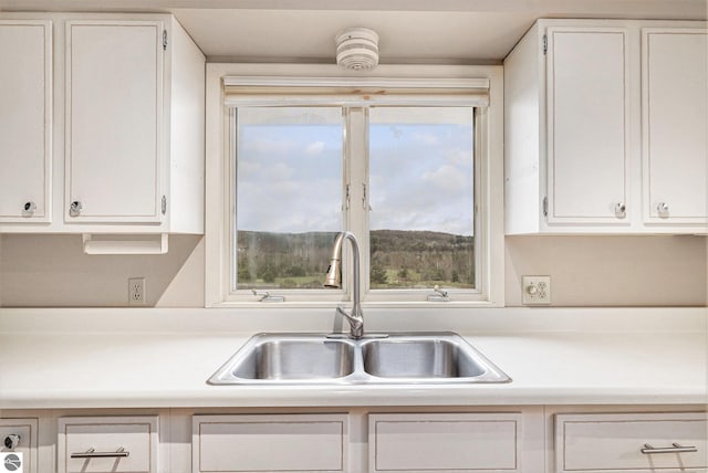 4120 M-66, Kalkaska, MI 49646 - kitchen featuring a sink, light countertops, and white cabinets