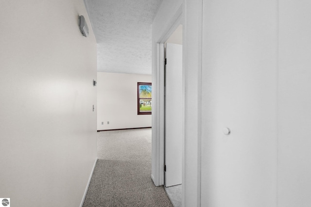 203 W Sixteenth St, Traverse City, MI 49684 - hall featuring baseboards, light carpet, and a textured ceiling