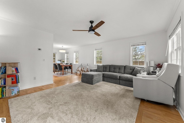 5945 E M-55, Cadillac, MI 49601 - living room featuring healthy amount of natural light, ceiling fan, crown molding, light wood-style flooring, and baseboards