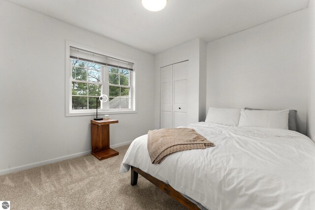 5945 E M-55, Cadillac, MI 49601 - bedroom featuring carpet flooring, baseboards, and a closet