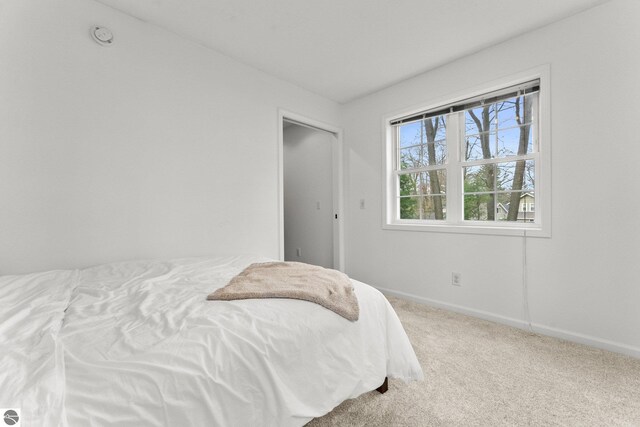 5945 E M-55, Cadillac, MI 49601 - bedroom featuring carpet and baseboards