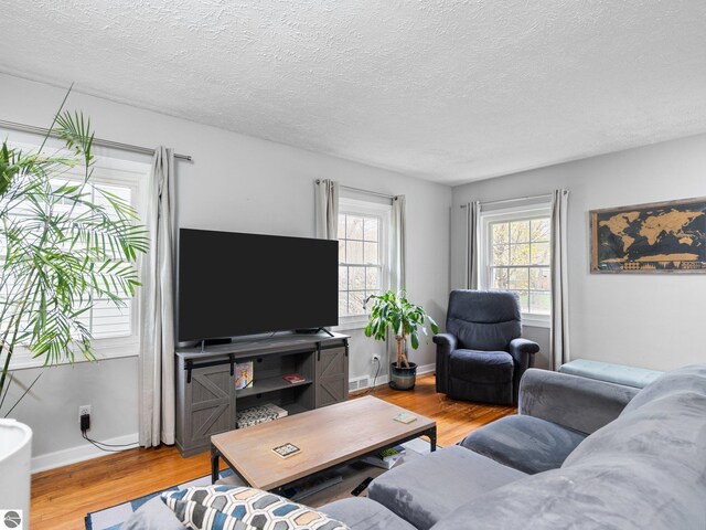 living area featuring wood finished floors, a textured ceiling, and baseboards