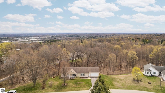 4381 Cherry Ln, Traverse City, MI 49684 - aerial view of property and surrounding area with a heavily wooded area