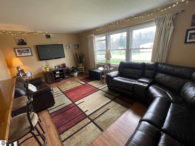 1993 W St, Central Lake, MI 49622 - living room featuring wood finished floors