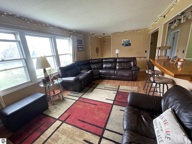 1993 W St, Central Lake, MI 49622 - living room featuring rail lighting and wood finished floors
