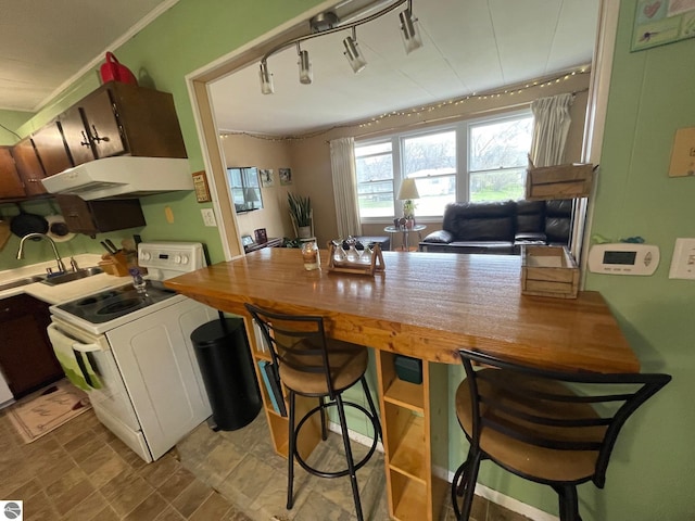 1993 W St, Central Lake, MI 49622 - kitchen with under cabinet range hood, butcher block countertops, a sink, electric range, and a peninsula