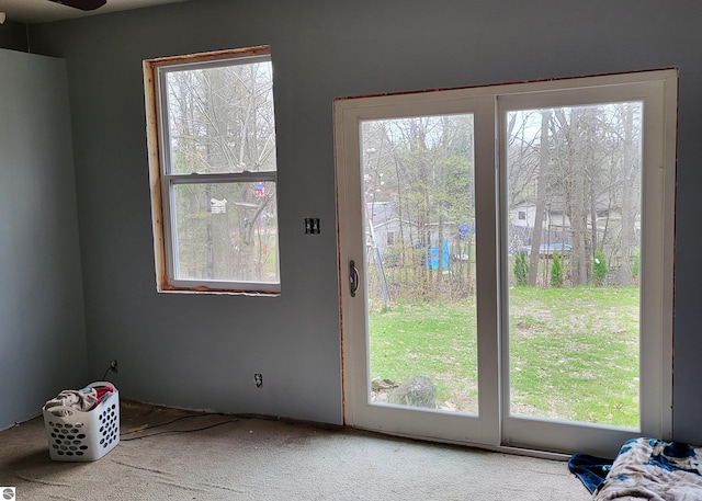 21187 Parkview Rd, Tustin, MI 49688 - entryway featuring plenty of natural light and carpet