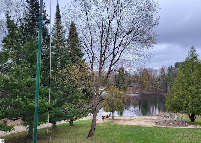 21187 Parkview Rd, Tustin, MI 49688 - water view