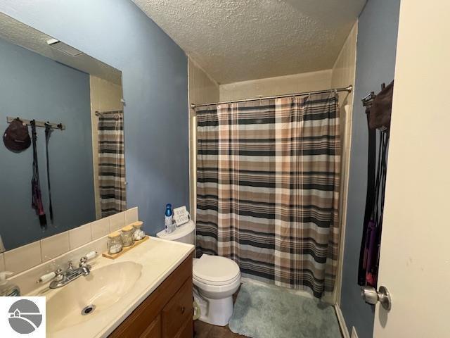 2195 S Sara Dr, Lake City, MI 49651 - full bath with a textured ceiling, vanity, toilet, a shower with shower curtain, and wood finished floors