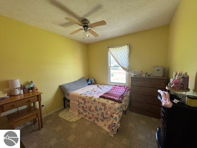 2195 S Sara Dr, Lake City, MI 49651 - carpeted bedroom with ceiling fan and a textured ceiling