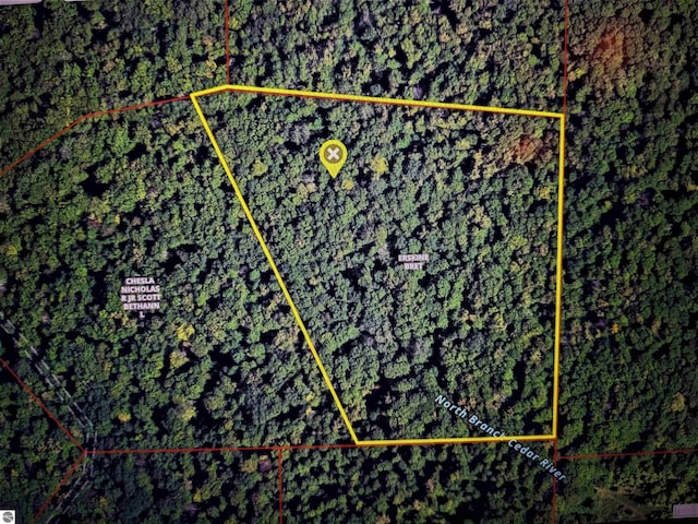 OFF Stark Rd, Mancelona, MI 49659
