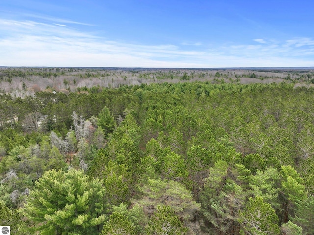 bird's eye view of a forest