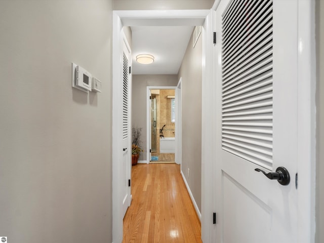 9311 Whipple Shores Dr, Clarkston, MI 48348 - hall with light wood-type flooring and baseboards